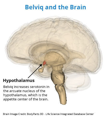 Belviq Hypothalamus Brain