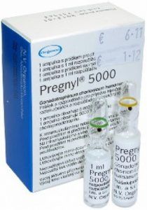 Pregnyl HCG Injections