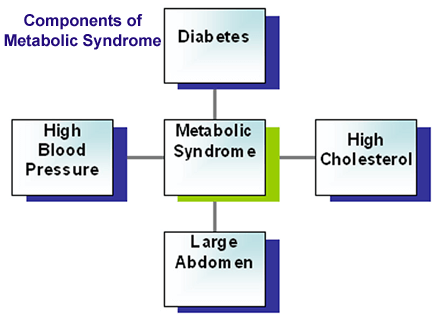 Metabolic Syndrome Components