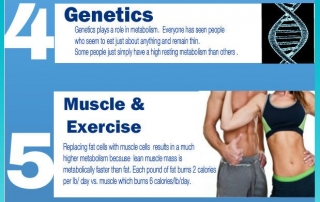 10 Causes of Slow Metabolism