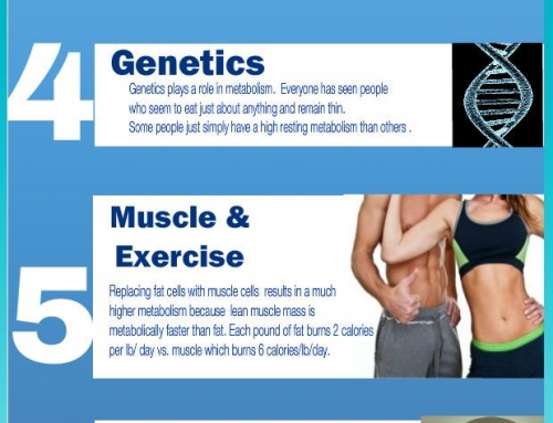 10 Causes of a Slow Metabolism