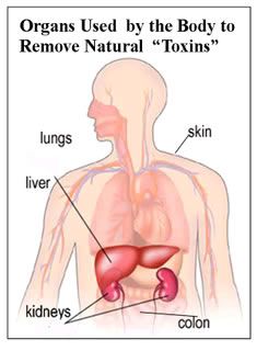 Detox Diets