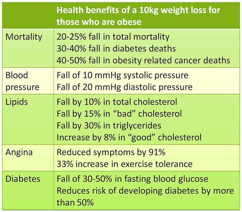 Miami Diet Plan Weight Loss Benefits