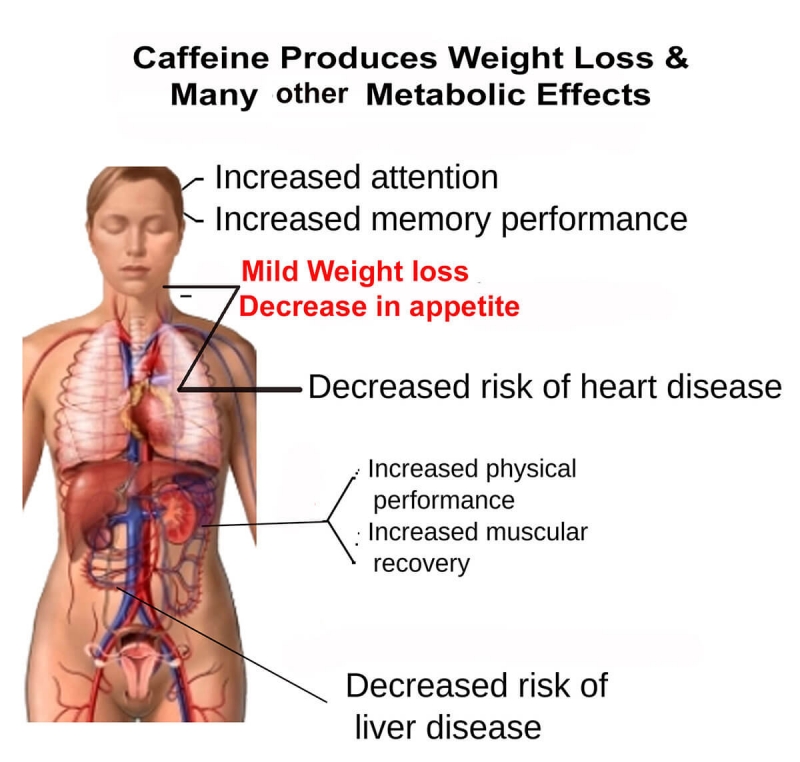 Caffeine Weigh Loss Metabolism Benefits