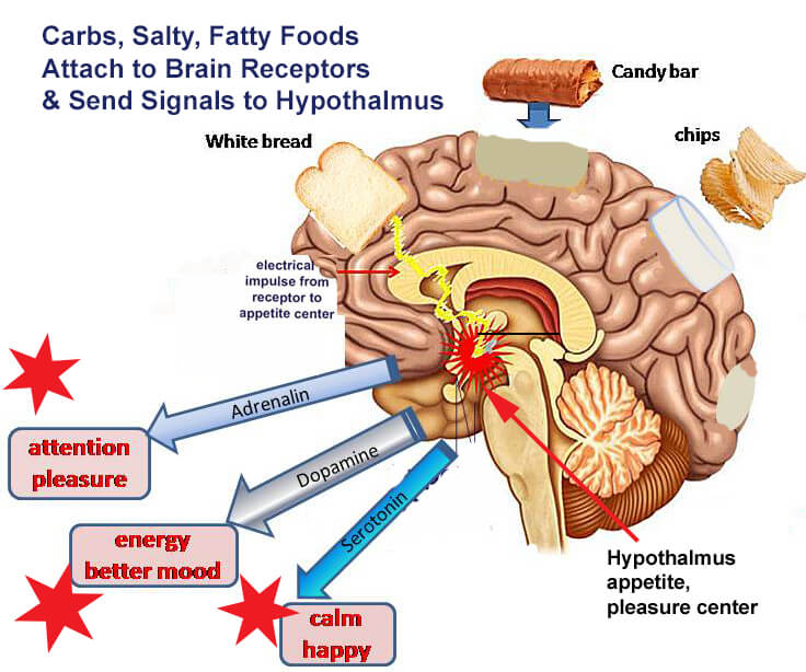 Cravings and Brain Receptors