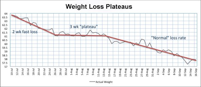 Weight Loss Plateau Graph