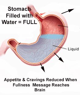 Water and Weight Loss