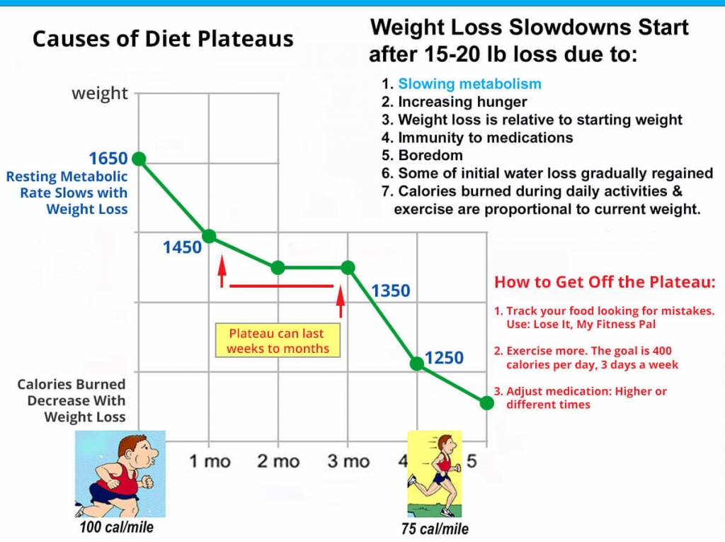 Weight Loss Slowdowns with glp 1-s