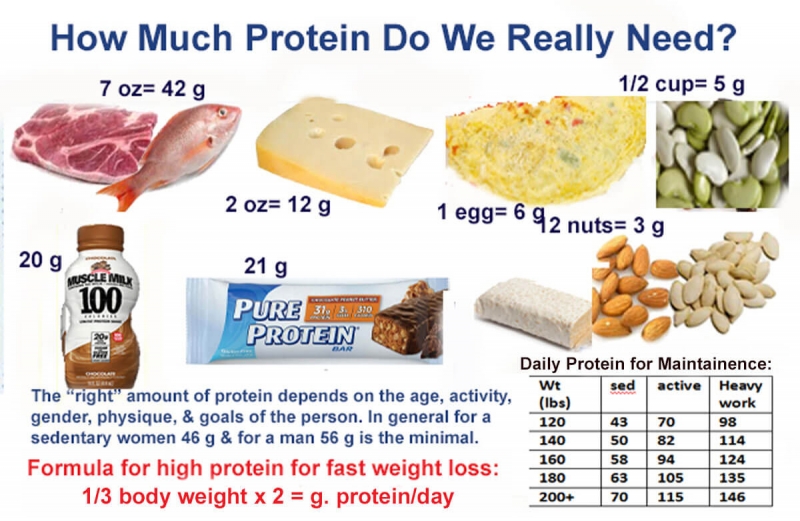 high protein diet for fast weight loss