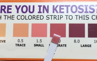Ketosis Test Strip