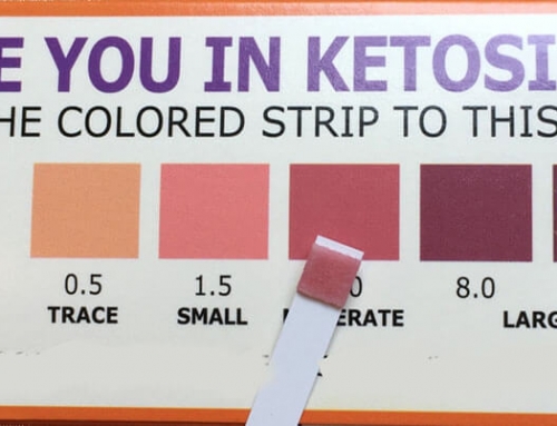 Ideal Fat in Keto Diet
