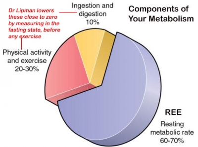 Metabolism Components