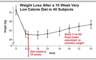 Regain Weight After Dieting