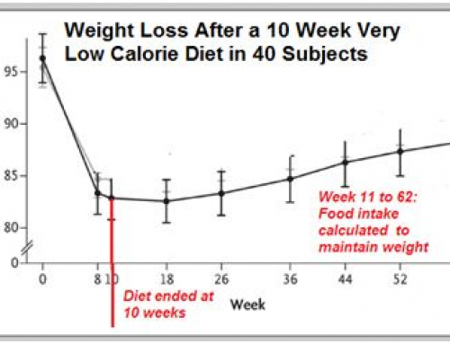 Maintaining WEIGHT Loss: 6 Secrets