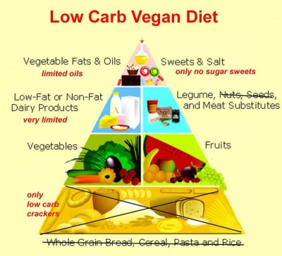 Vegan Protein Sources