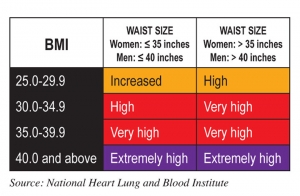 BMI vs. Waist Size Determines Obesity or Overweight