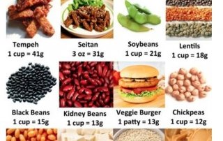 vegetarian proteins