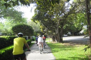 A group of four cyclists riding on a paved path lined with lush greenery and trees. The sun shines brightly, casting light on the scene. A parked car can be seen on the road adjacent to the path.