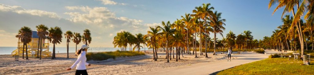 A scenic beach walkway lined with palm trees under a golden sunset. A person strolls along the path, with sandy shores and soft waves in the background. Other individuals enjoy the serene setting, capturing a tranquil outdoor scene. 