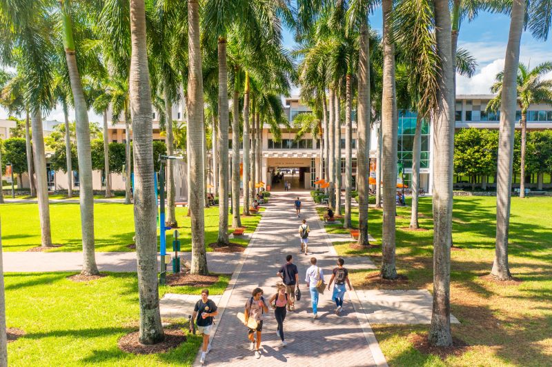 A paved walkway lined with tall palm trees, leading toward a modern building, where students walk in groups enjoying a sunny day. This vibrant scene reflects the community's focus on health and wellness, highlighting the importance of GLP-1 Medications Help Coral Gables Residents.